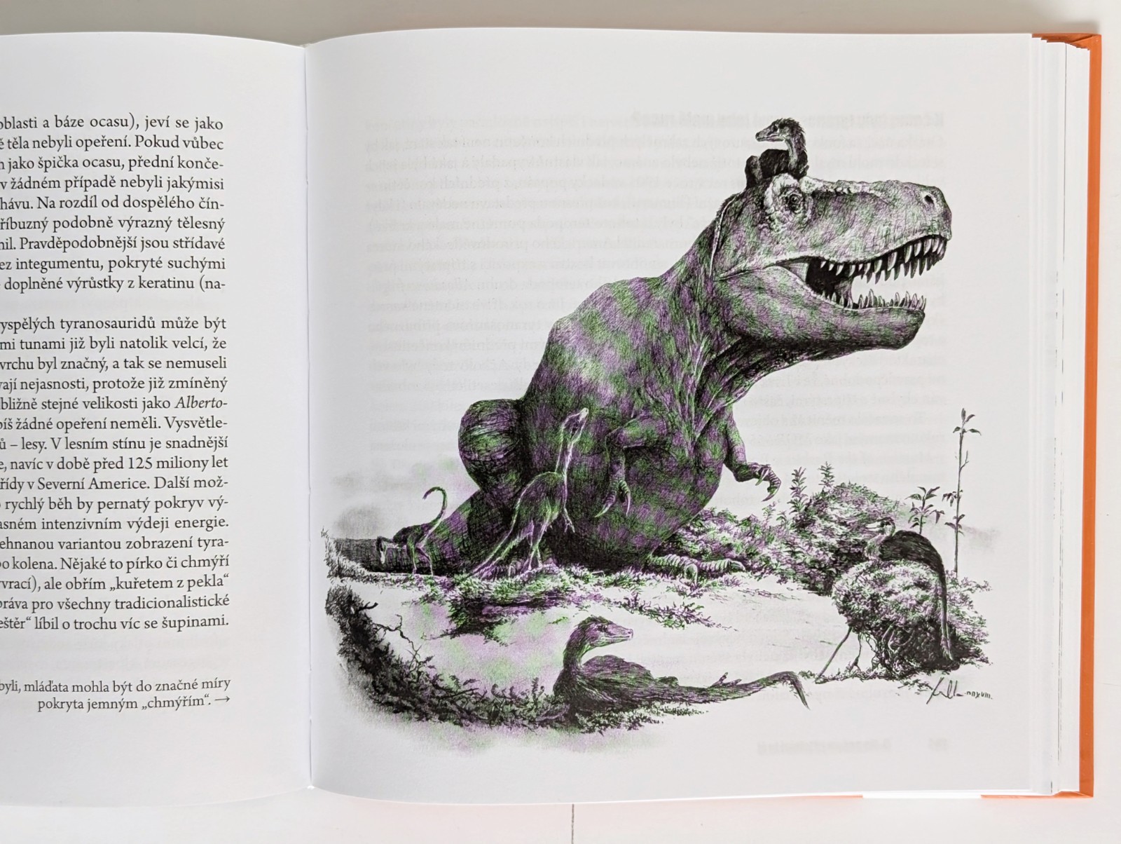 Tyrannosaurus rex Lot of 4 Czech Books on Dinosaurs Paleontology Vladimír Socha