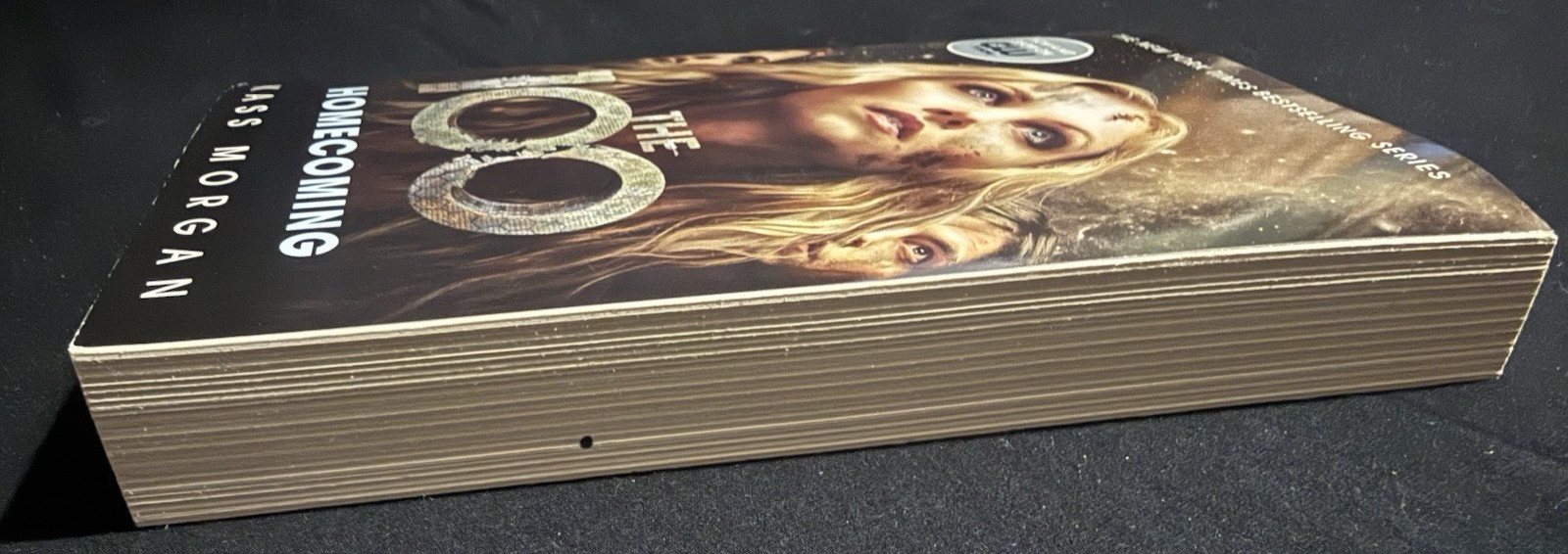 The 100 By Kass Morgan Paperback Series Lot of 4