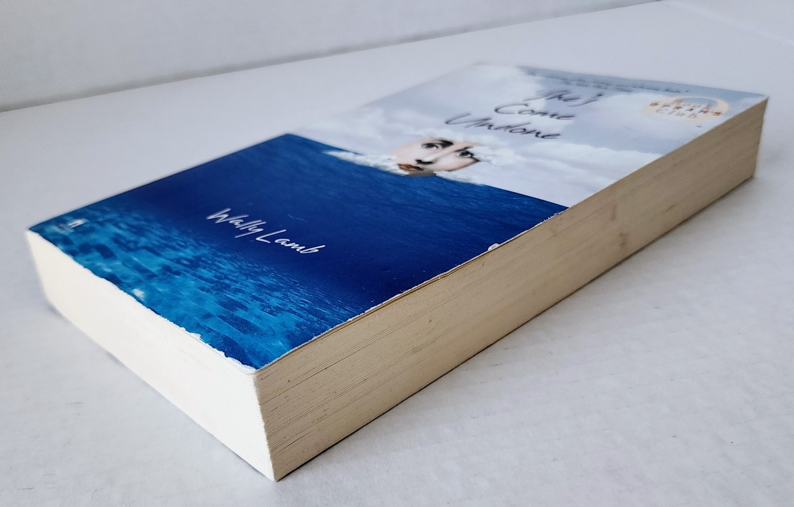 Wally Lamb She’s Come Undone Oprah Book Club PB 465 Pages ISBN 0671003755