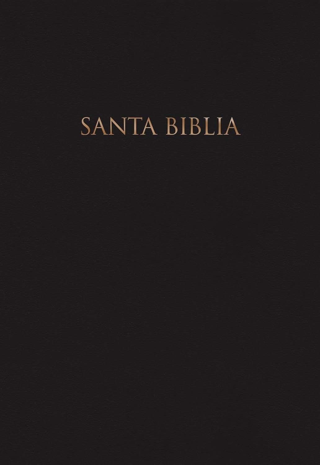 Biblia Reina Valera 1960, Tapa Dura, Negro (En Español) RVR 1960 Gift Hardcover