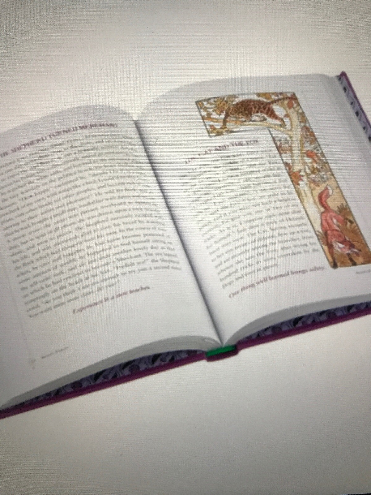 ❤️ AESOP’S FABLES Leather Bound Collectible Edition NEW