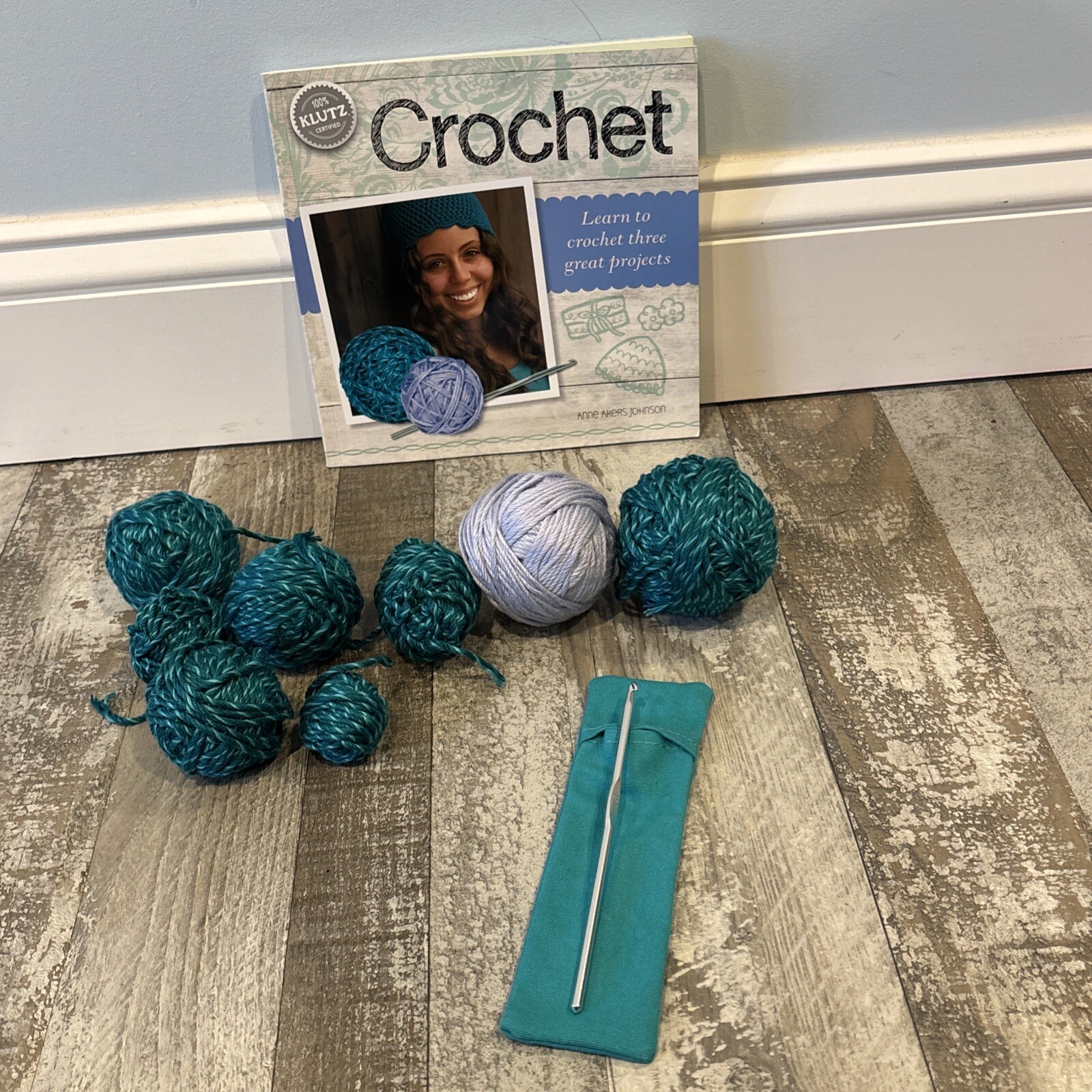 LEARN TO CROCHET 2014 THREE GREAT PROJECTS ANNE AKERS JOHNSON BY KLUTZ BOOK RARE