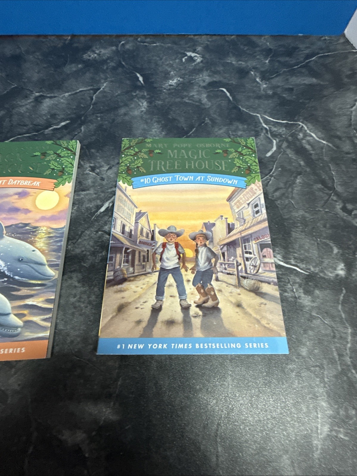 Magic Tree House 11 Book Collection