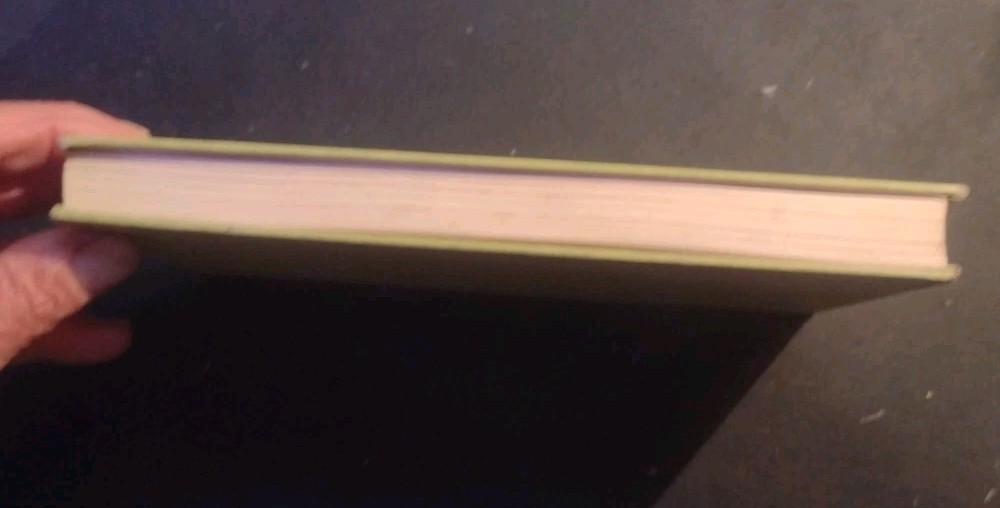 The Little Professor Of Piney Woods by Beth Day