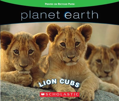 Lion Cubs Board Books Inc. Staff Scholastic
