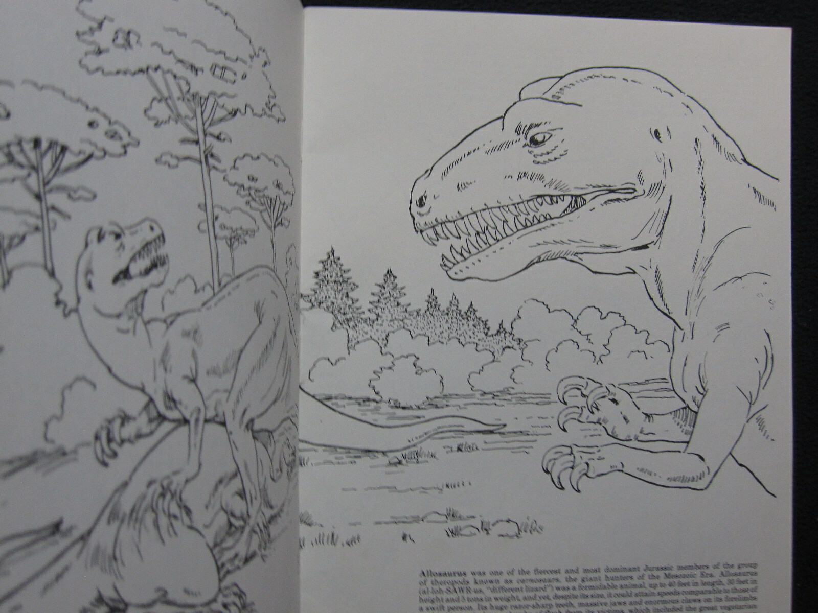 The Days of the Dinosaur Coloring Book [Paperback] Matthew Kalmenoff
