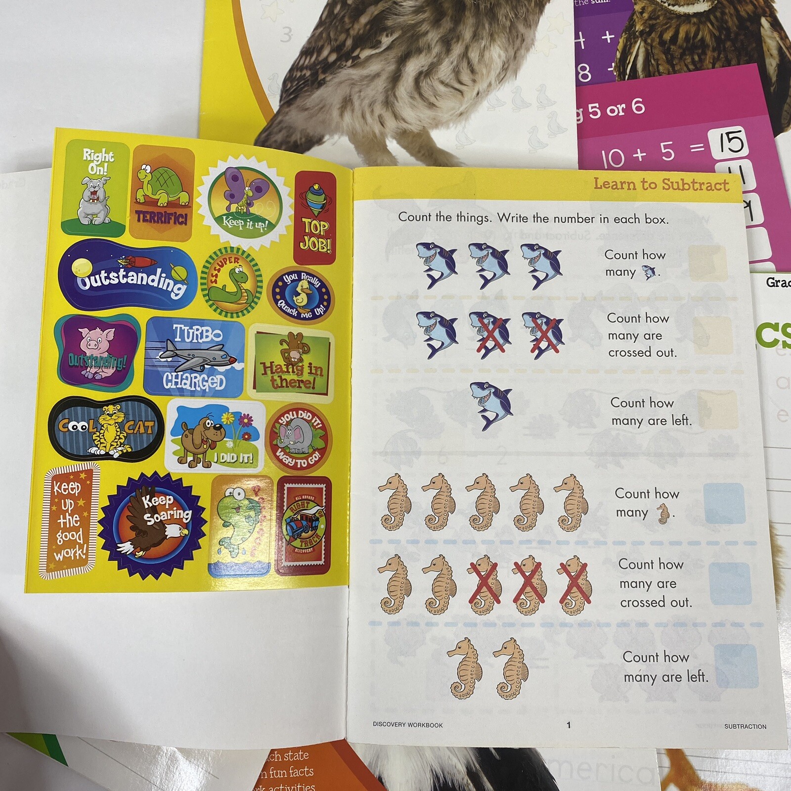 Discovery Workbook Lot Addition Subtraction Phonics Study Pre K – Grade 1 Bonus