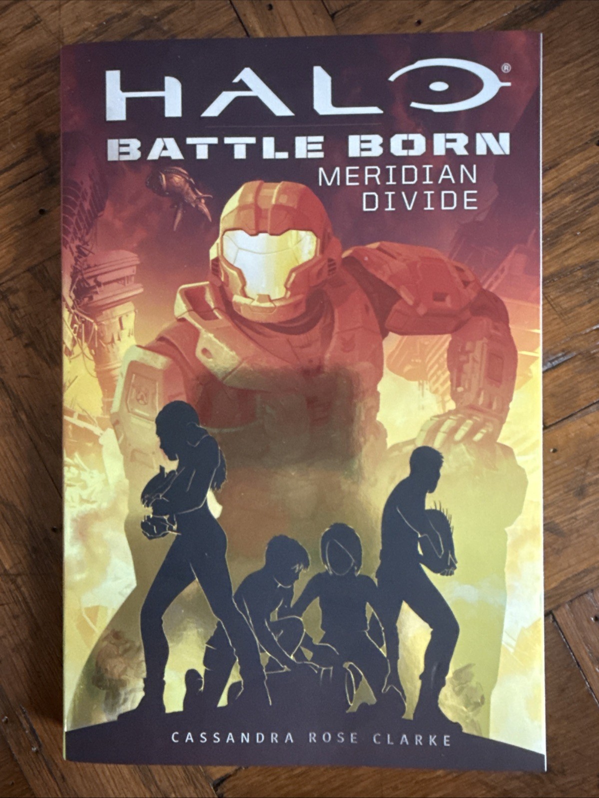 Halo Battle Born Meridian Divide, Soft Cover Book, Microsoft Halo Video Game