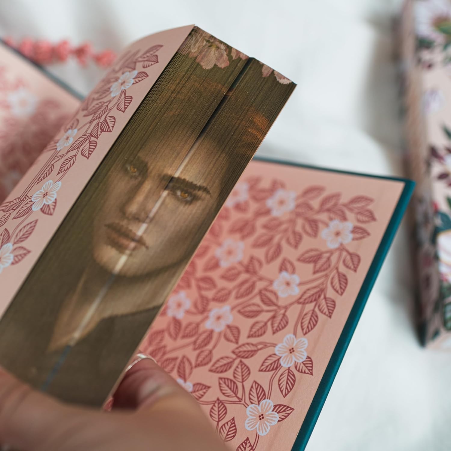 TWILIGHT (The Twilight Saga): Deluxe Collector’s Edition by Stephenie Meyer