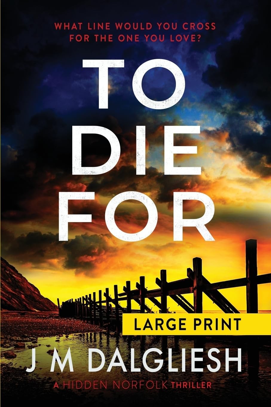 To Die For (Large Print) (Hidden Norfolk)