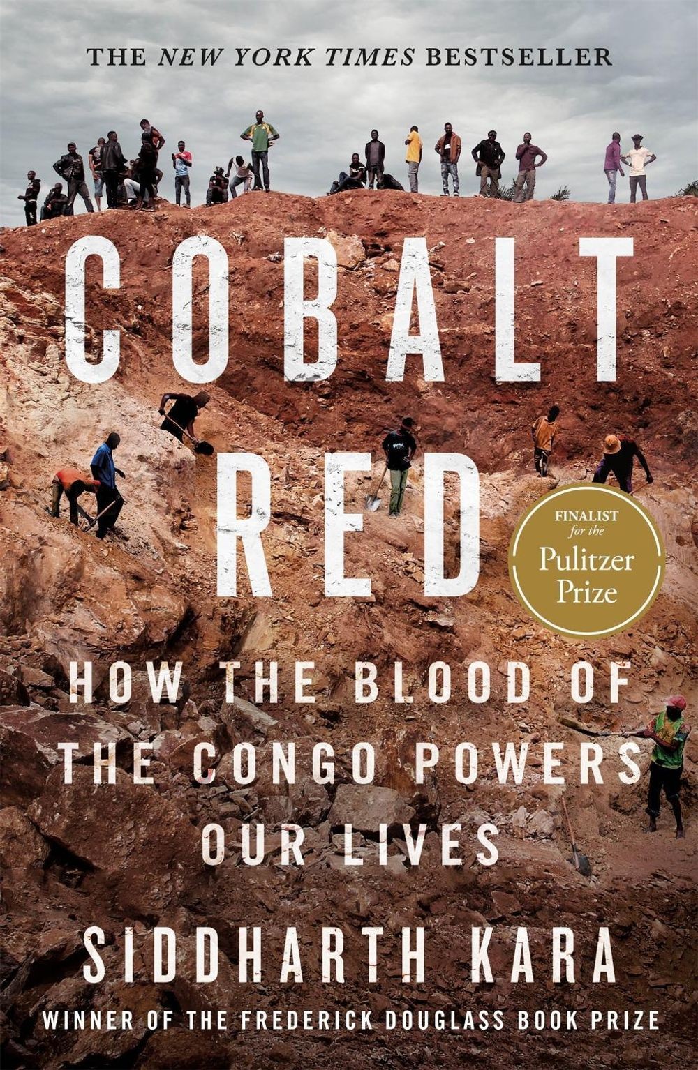 Cobalt Red: How the Blood of the Congo Powers Our Lives by Siddharth Kara (Engli