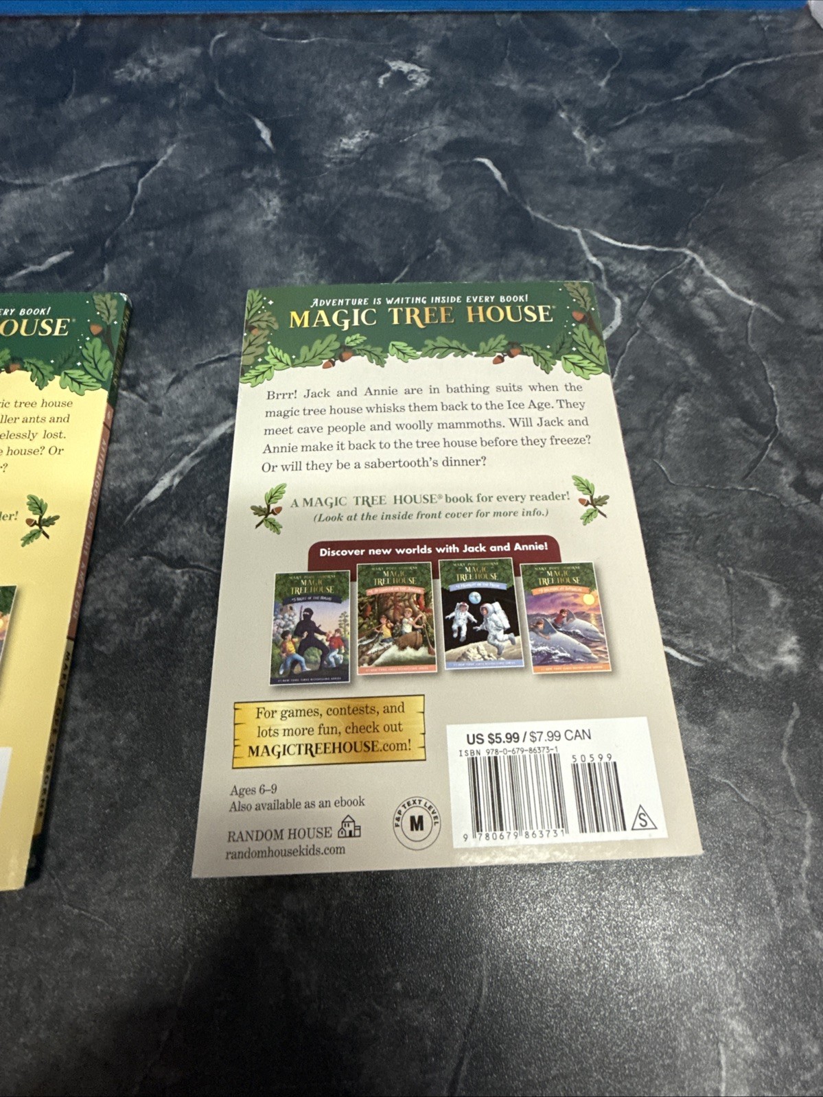 Magic Tree House 11 Book Collection