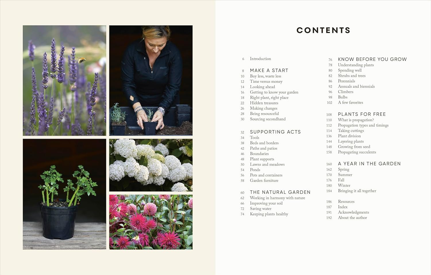 The Money-Saving Gardener: Create Your Dream Garden at a Fraction of the Cost: t