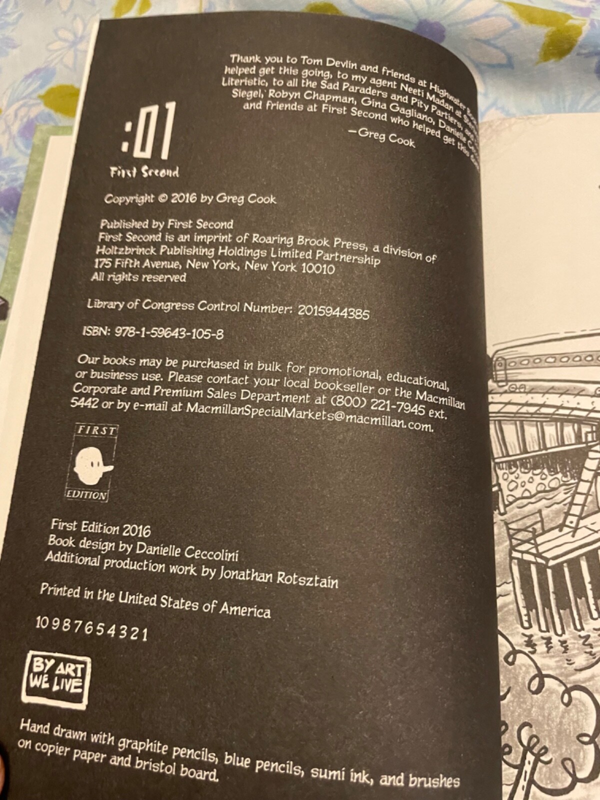 BOOK Friends is Friends Greg Cook First Edition 2016 Graphic Novel Roaring Brook
