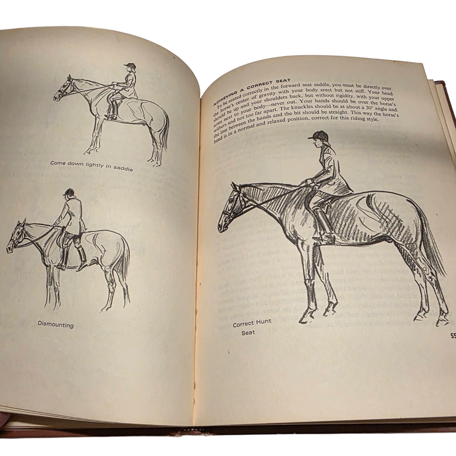 Vintage Horseback Riding Book by Jeanne Mellin 1970 HC Brown 9.25×7.25 Complete