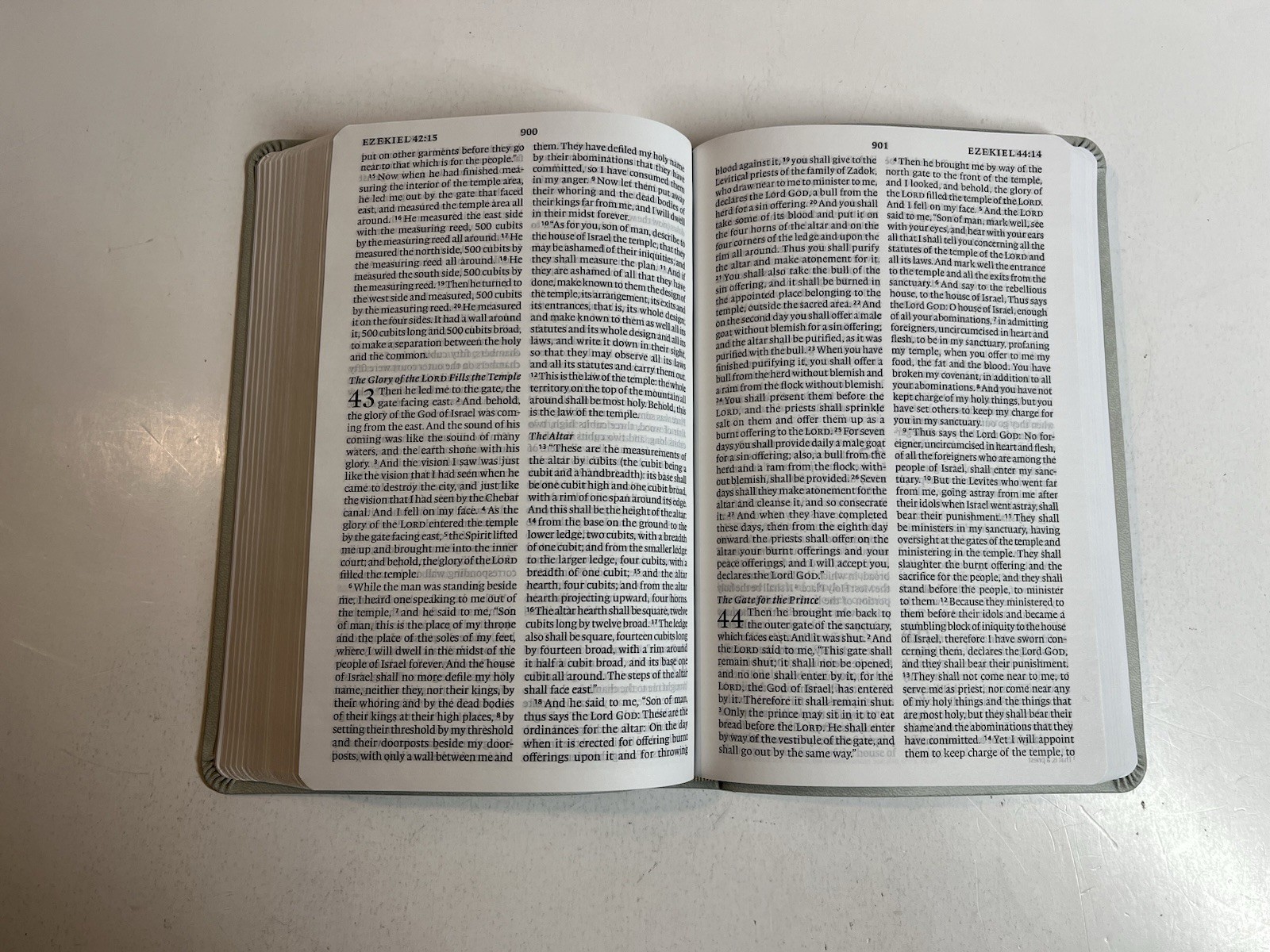 ESV Large Print Value Thinline Bible (Trutone, River Stone, Branch Design)
