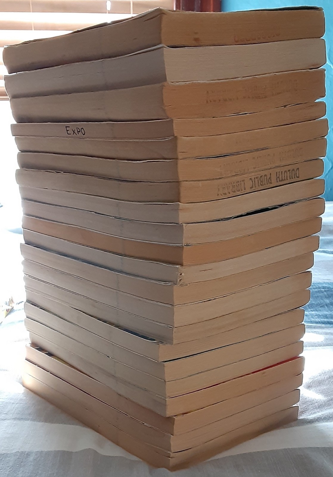 Animorphs Book Lot of 21 (K.A. Applegate, Paperback)