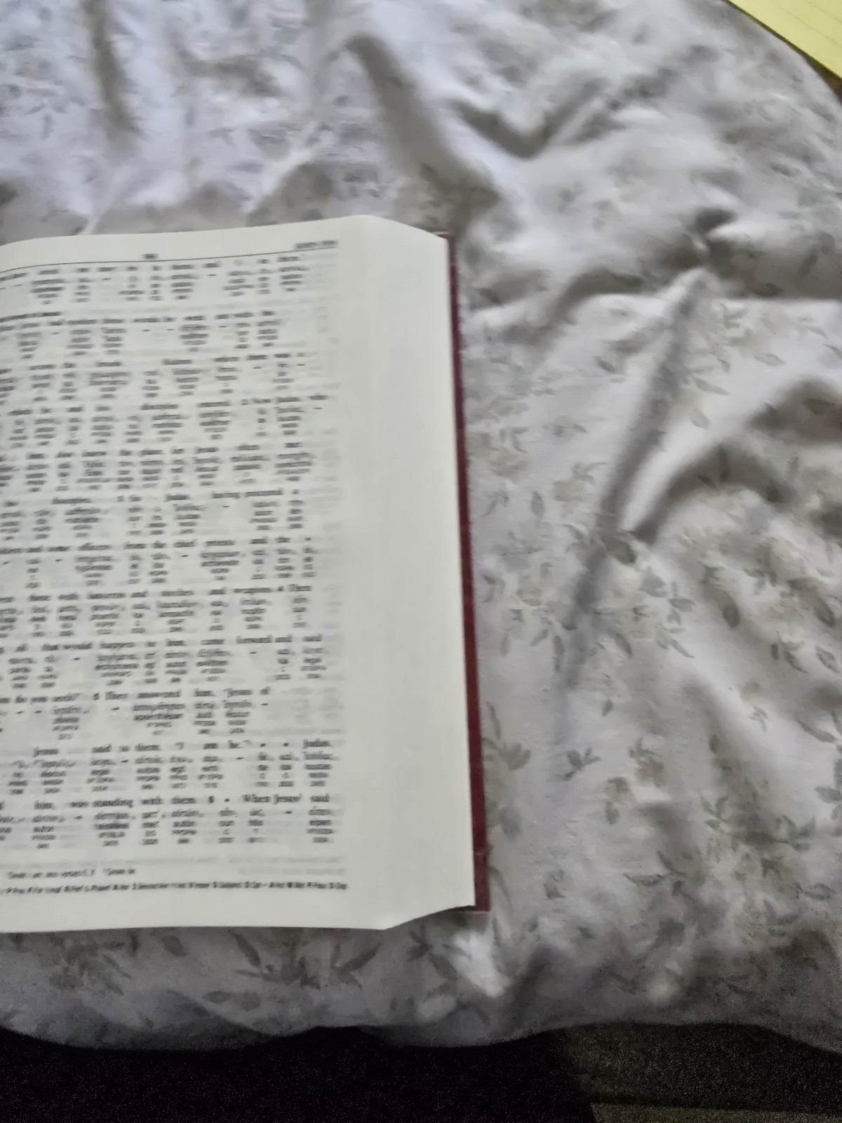 THE ENGLISH-GREEK REVERSE INTERLINEAR NEW TESTAMENT Book ESV Schwandt