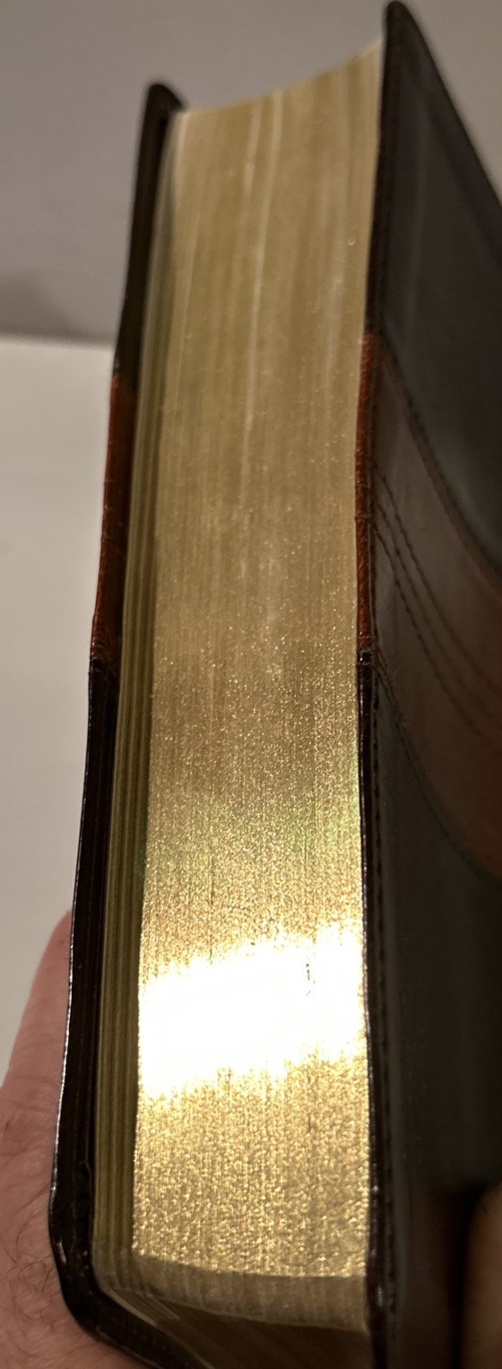ESV Personal Reference Holy Bible Brown Tan Tru-Tone Single Column Side Ref.