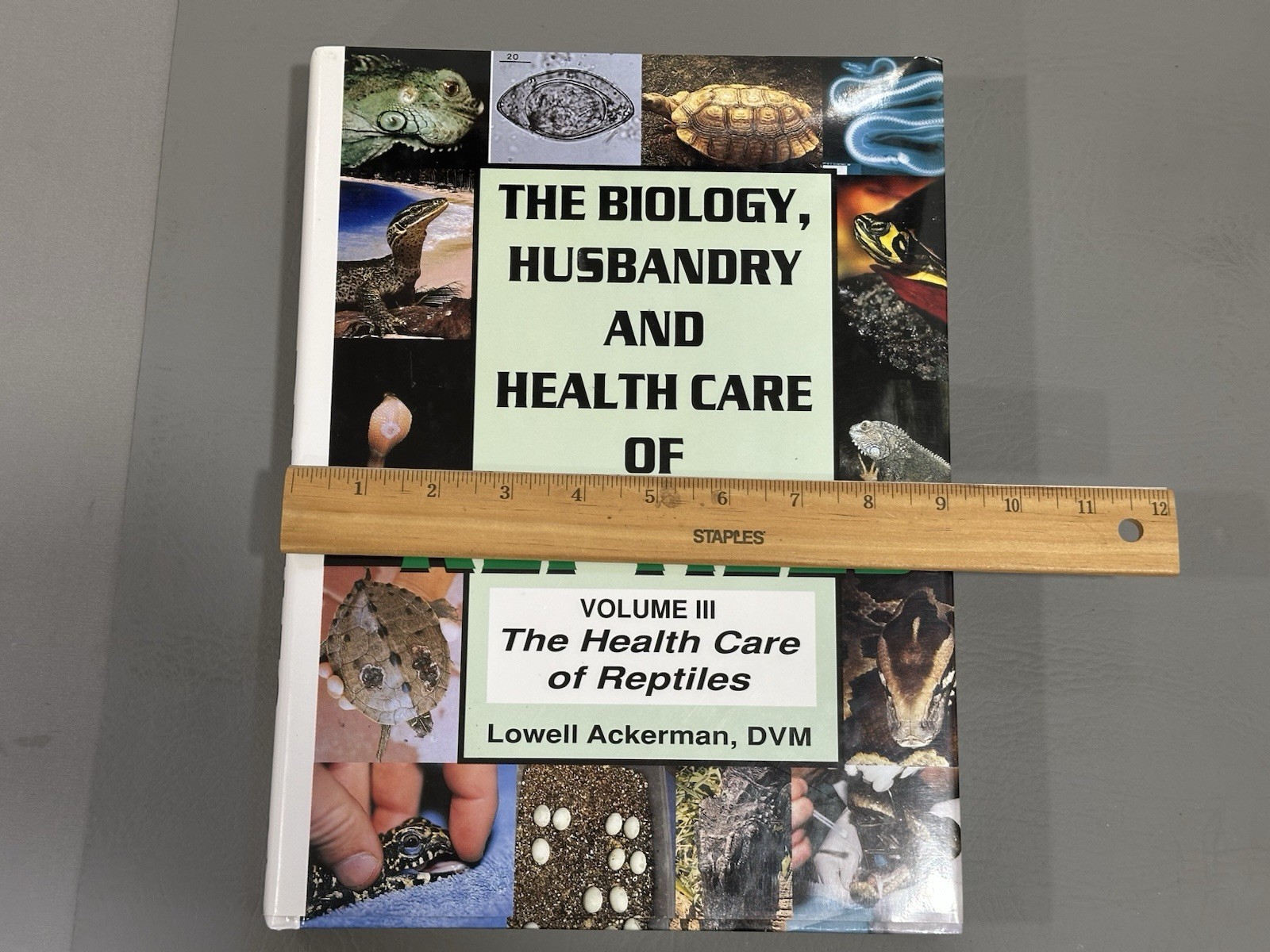 Health Care of Reptiles Vol. 3 (Biology, Husbandry and Health Care Hard Cover