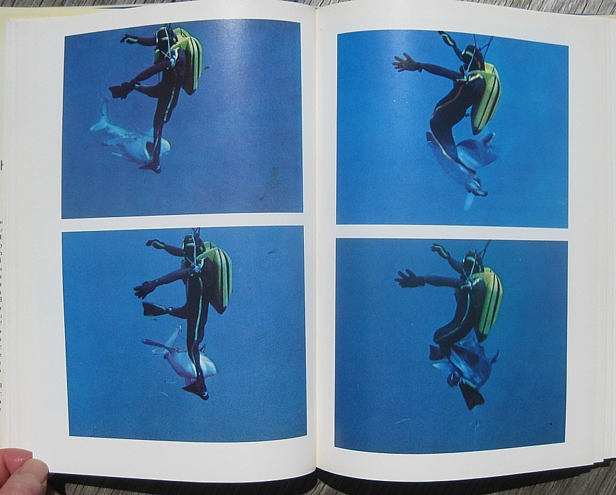 1970 SHARKS Personally Signed by JACQUES COUSTEAU & PHILIPPE COUSTEAU Ocean JAWS