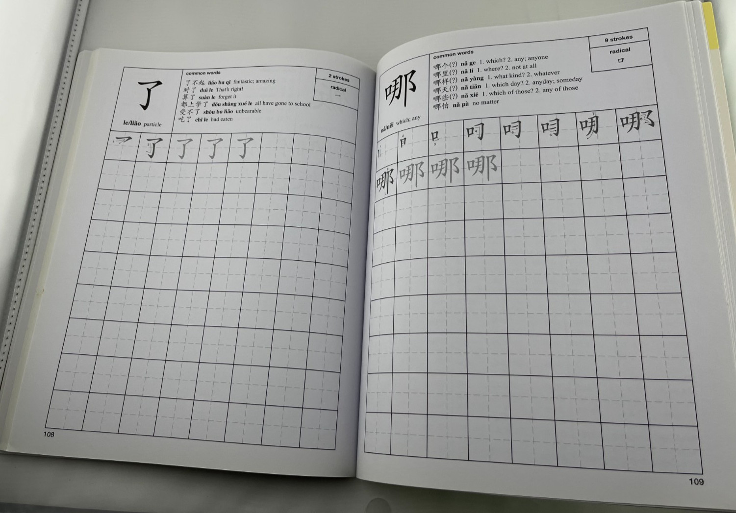 The First 100 Chinese Characters: Simplified Character Edition – Some writing