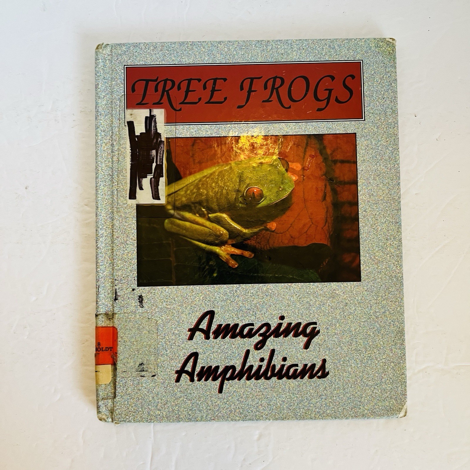 Lot 5 Reptile Amphibian Science Books Snake Turtle STEM Classroom Library