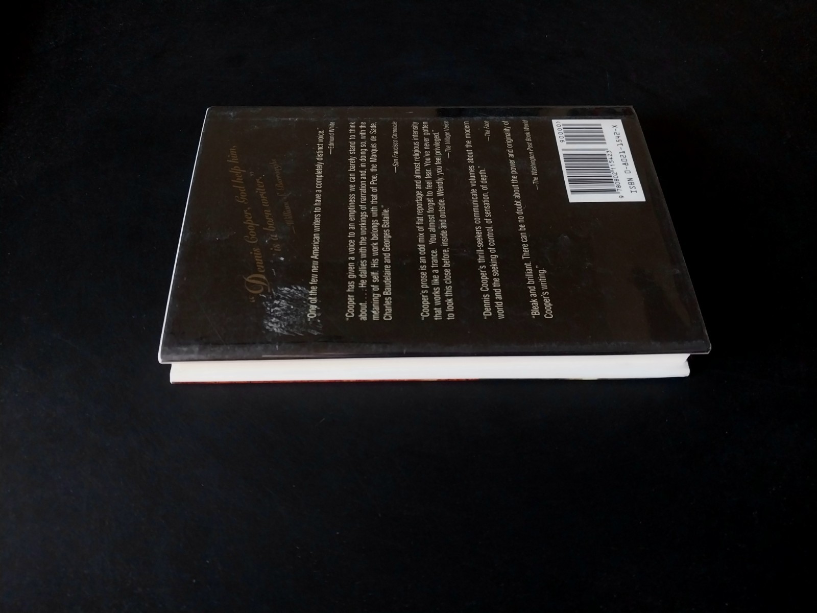 Dennis Cooper – Try – Grove Press First Edition First Printing 1994