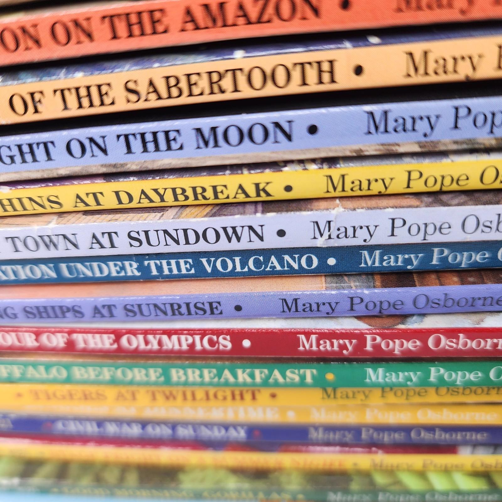 Magic Tree House Book Lot Mary Pope Osborne 20+ Books Kids Chapter Series