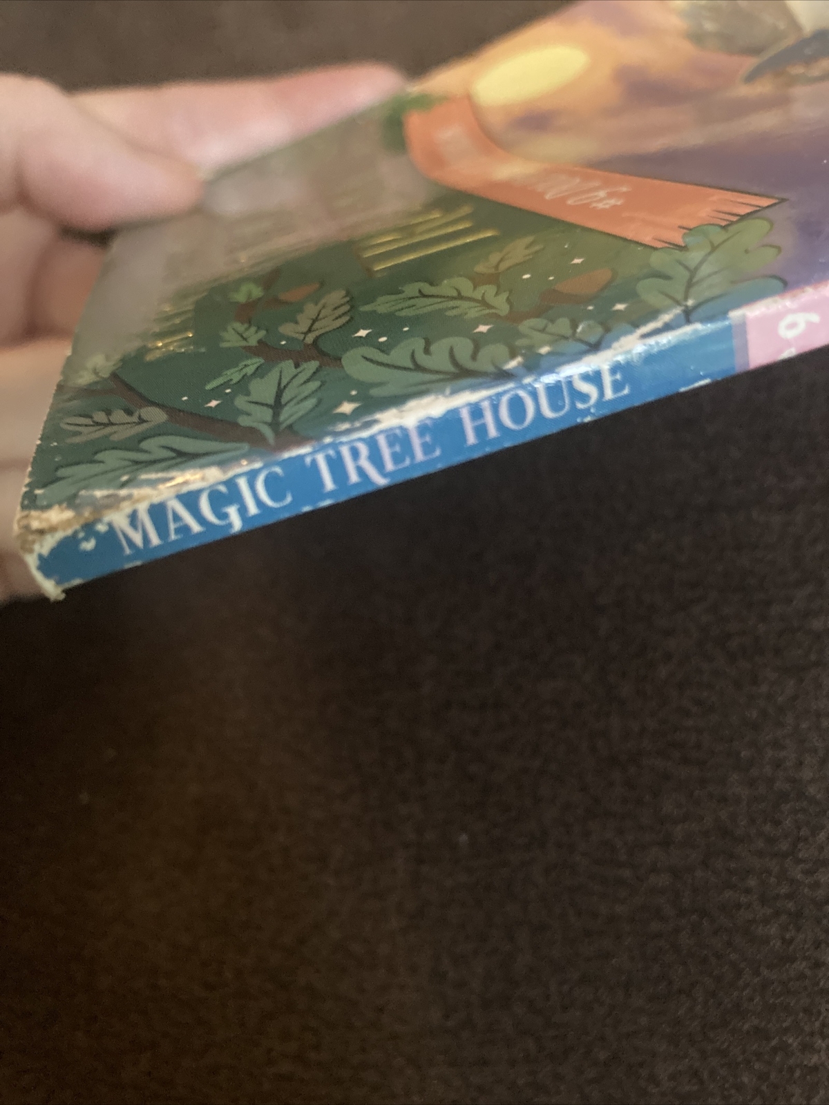 Dolphins at Daybreak Magic Tree House, Book 9. By Mary Pope Osborne. Pre-owned
