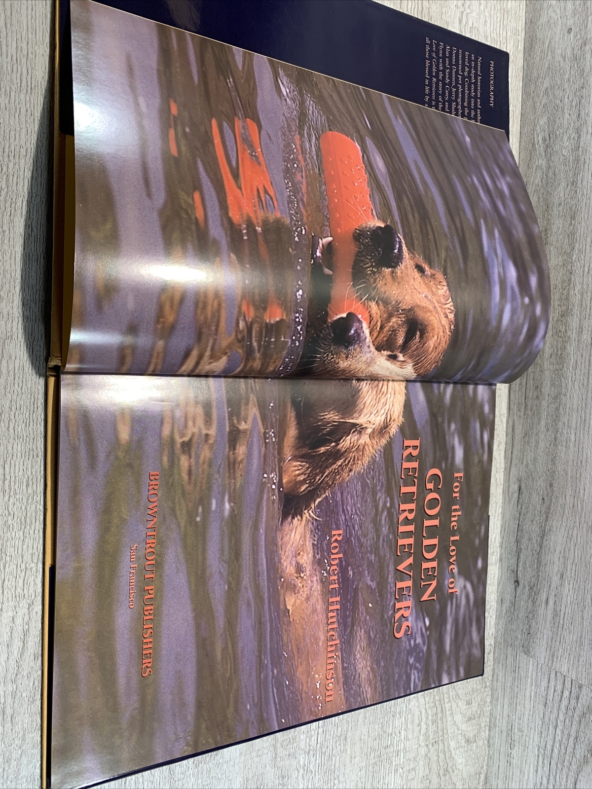 For the Love of Golden Retrievers Hard Cover Book – By Robert Hutchinson