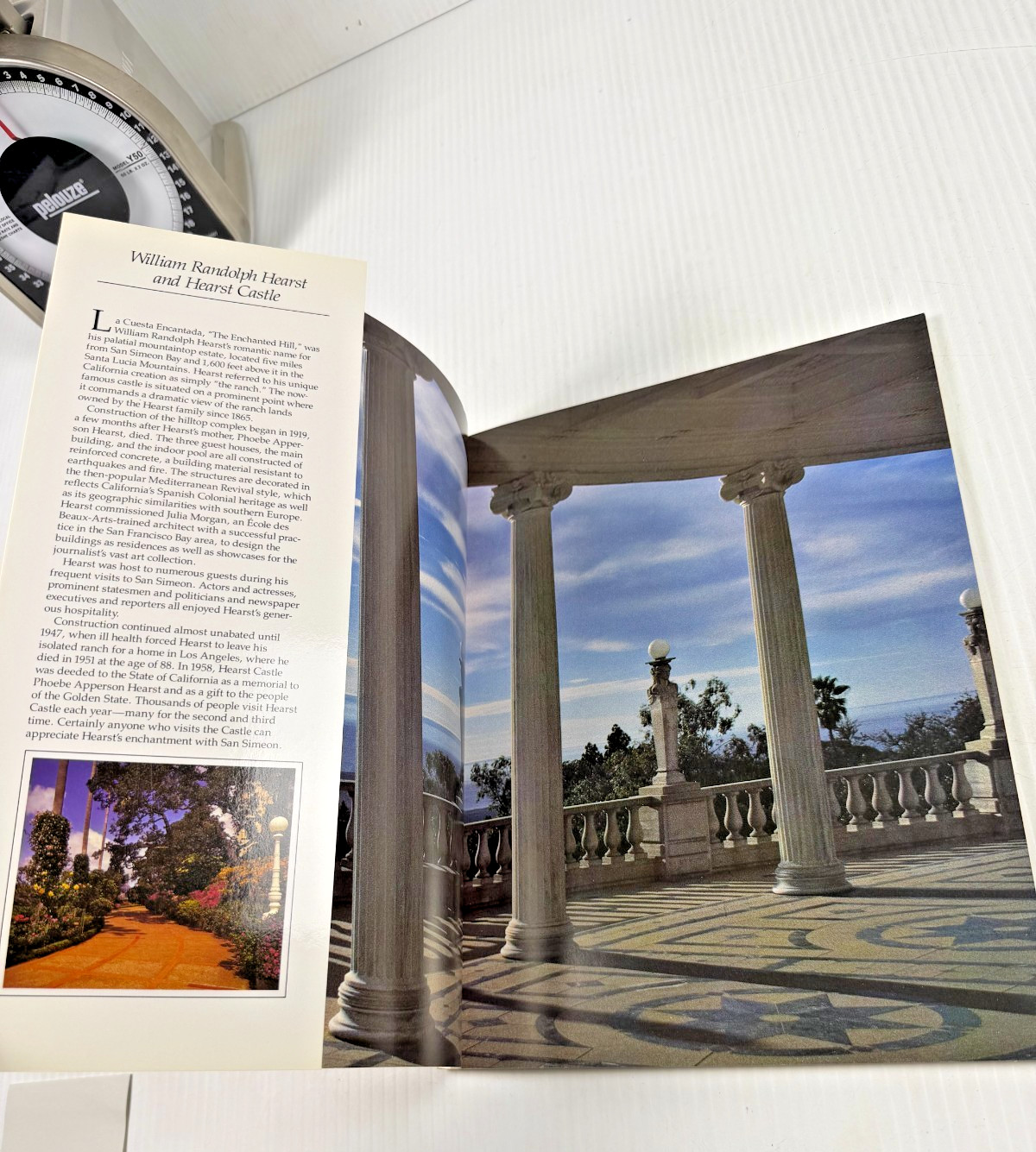 William Randolph Hearst An Illustrated Biography by Nancy E. Loe NEW Book