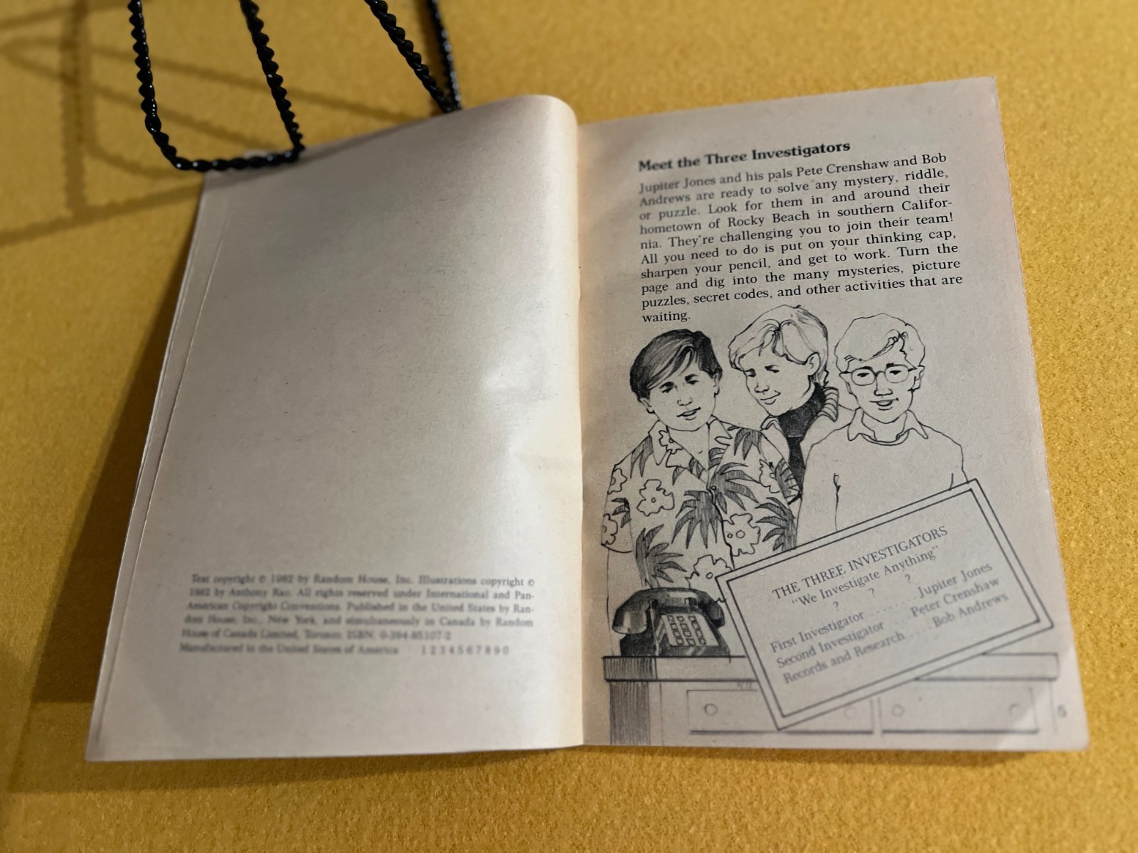 Three Investigators Book of Mystery Puzzles