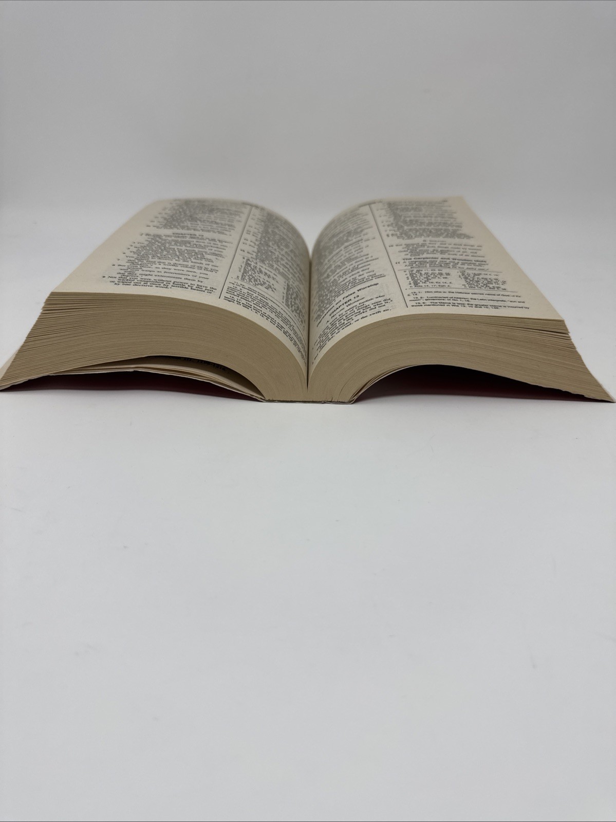 The New American Bible World Catholic Press 1991 PB