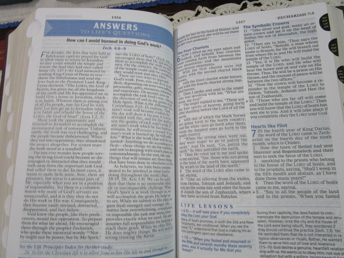 NASB Charles Stanley Life Principles Bible- Large Print INDEXED Burgundy LS-RARE