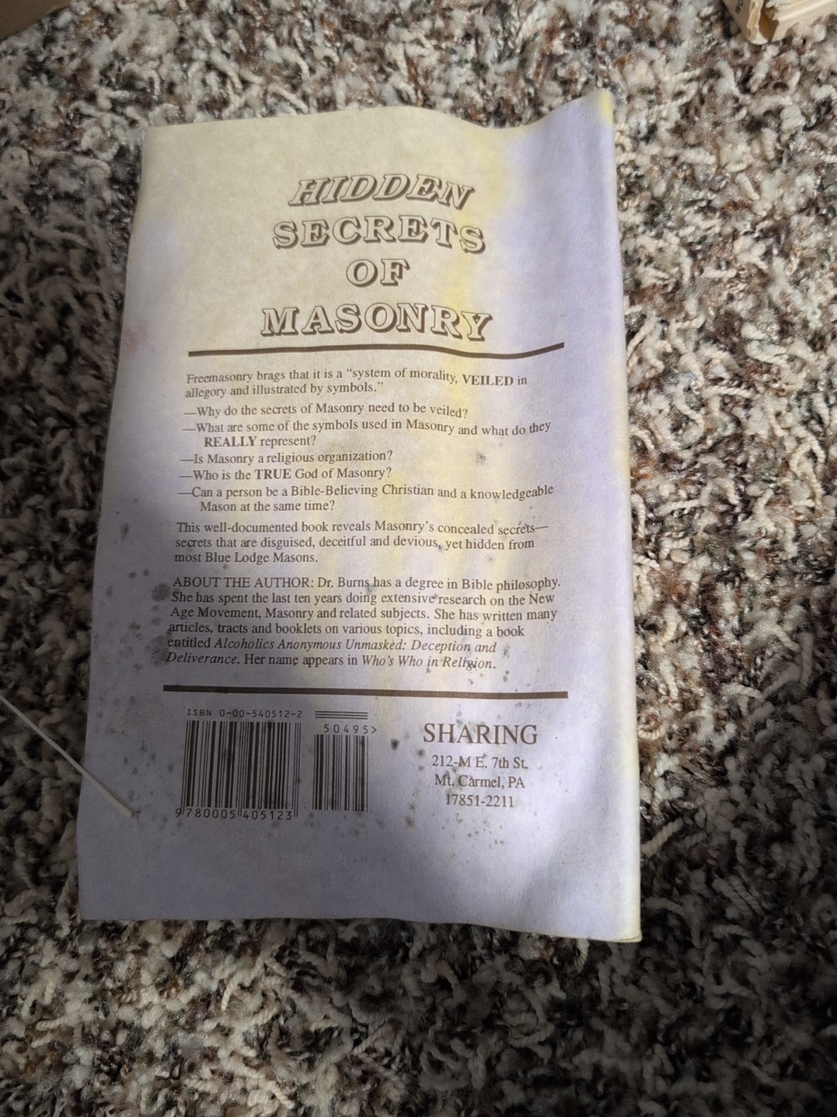 Hidden Secrets of Masonry by Cathy Burns (1990, Trade Paperback)