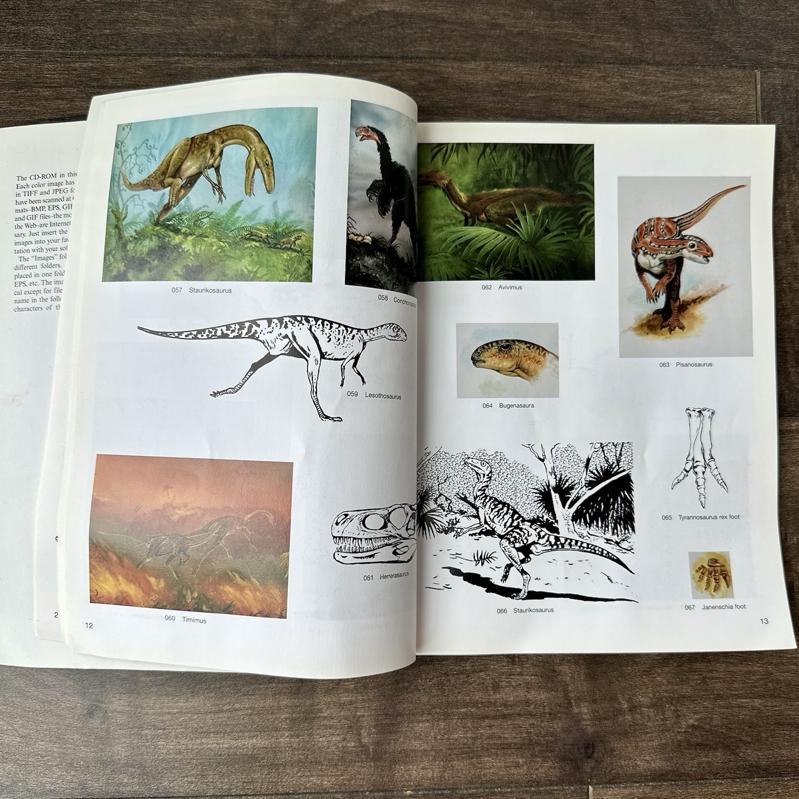 Jan Sovak Dinosaur CD-ROM & Book – 232 royalty-free designs for Macs & Windows