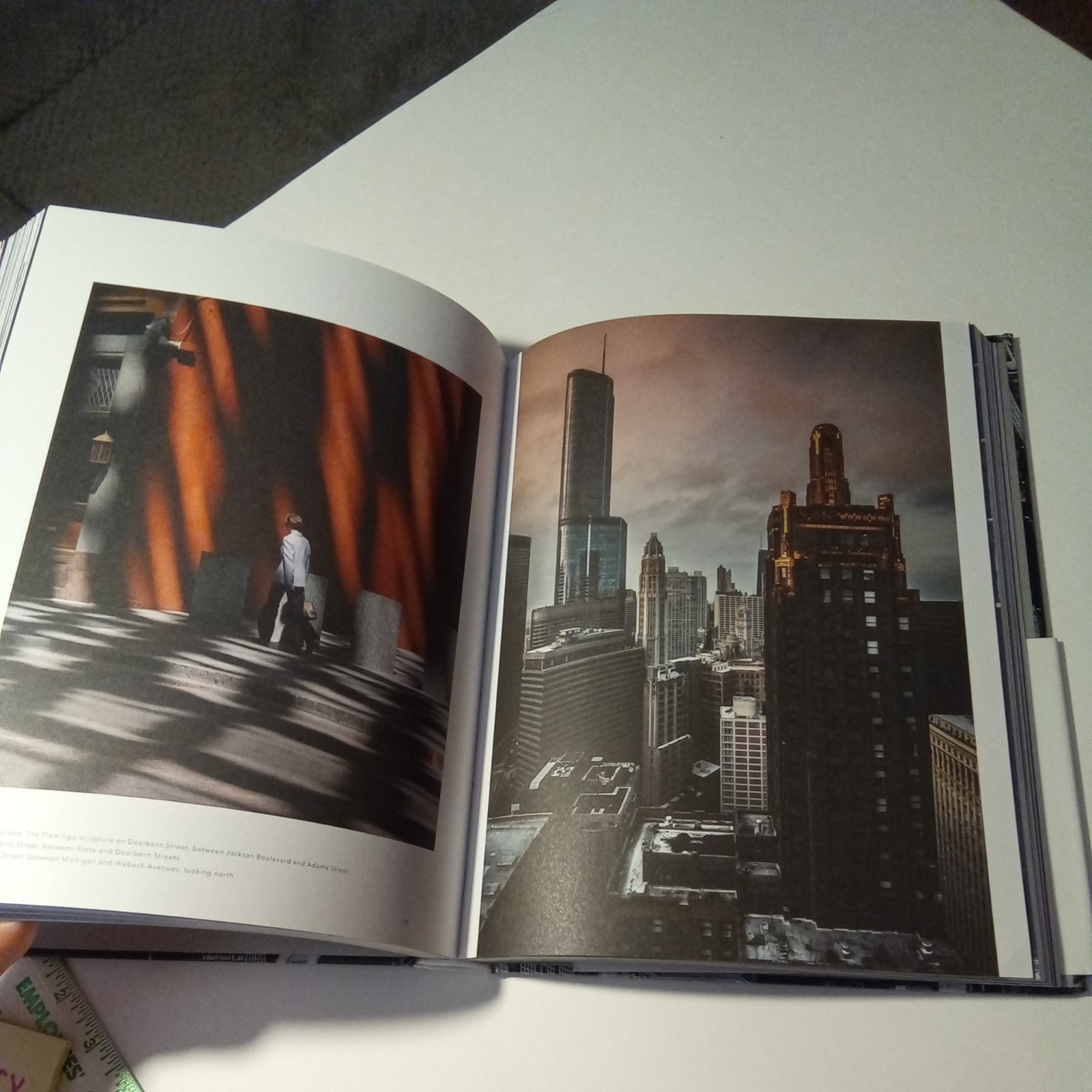 Trope Chicago by Sam Landers Hardcover (Trope City Edition)