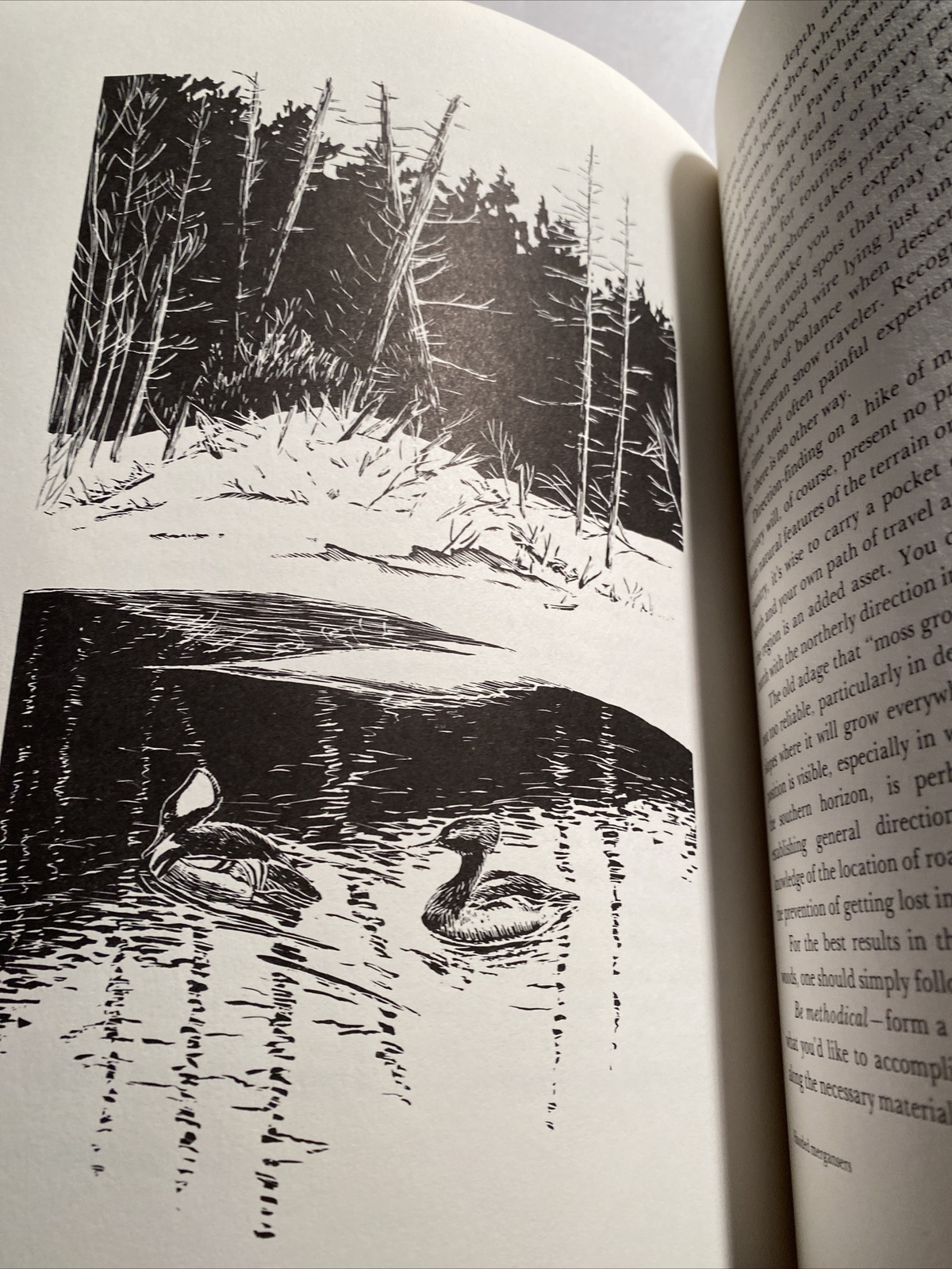 The Winter Woods and The Summer Woodlands by John Quinn Hardcover X library abi