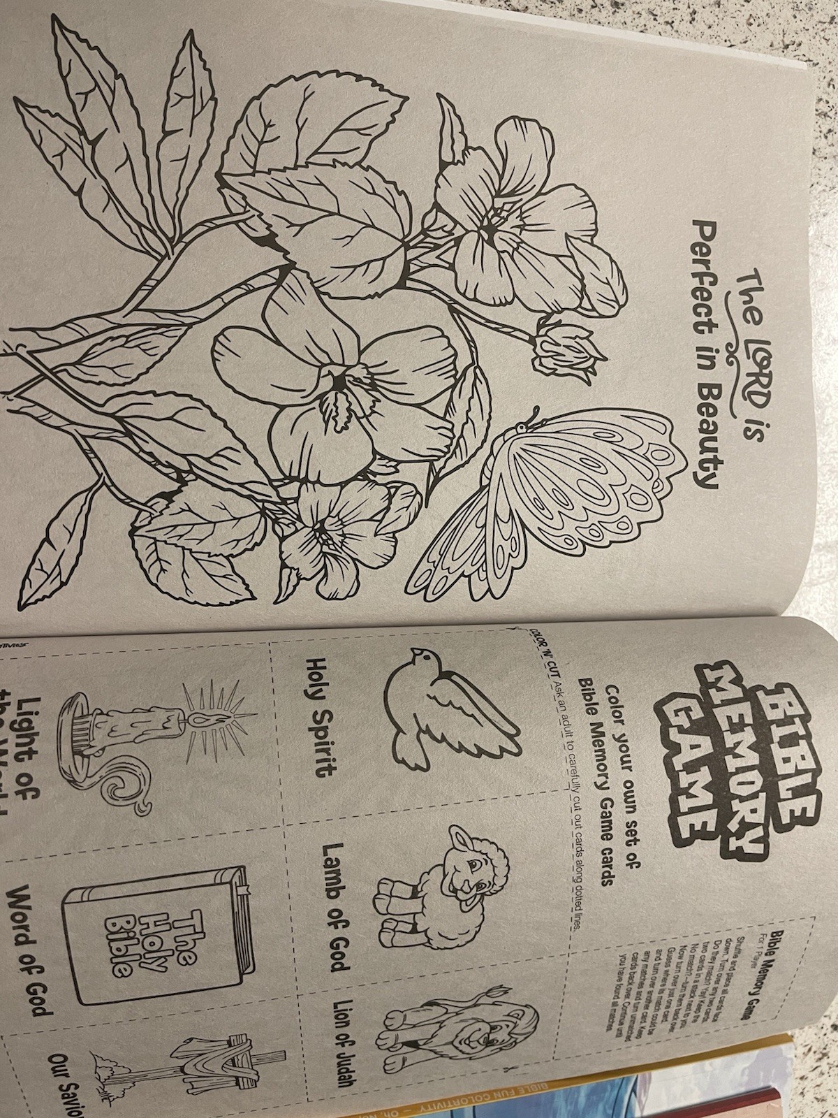 Bible Fun Colortivity Activity & Coloring Book Set of 4 Over 250 pages Assorted