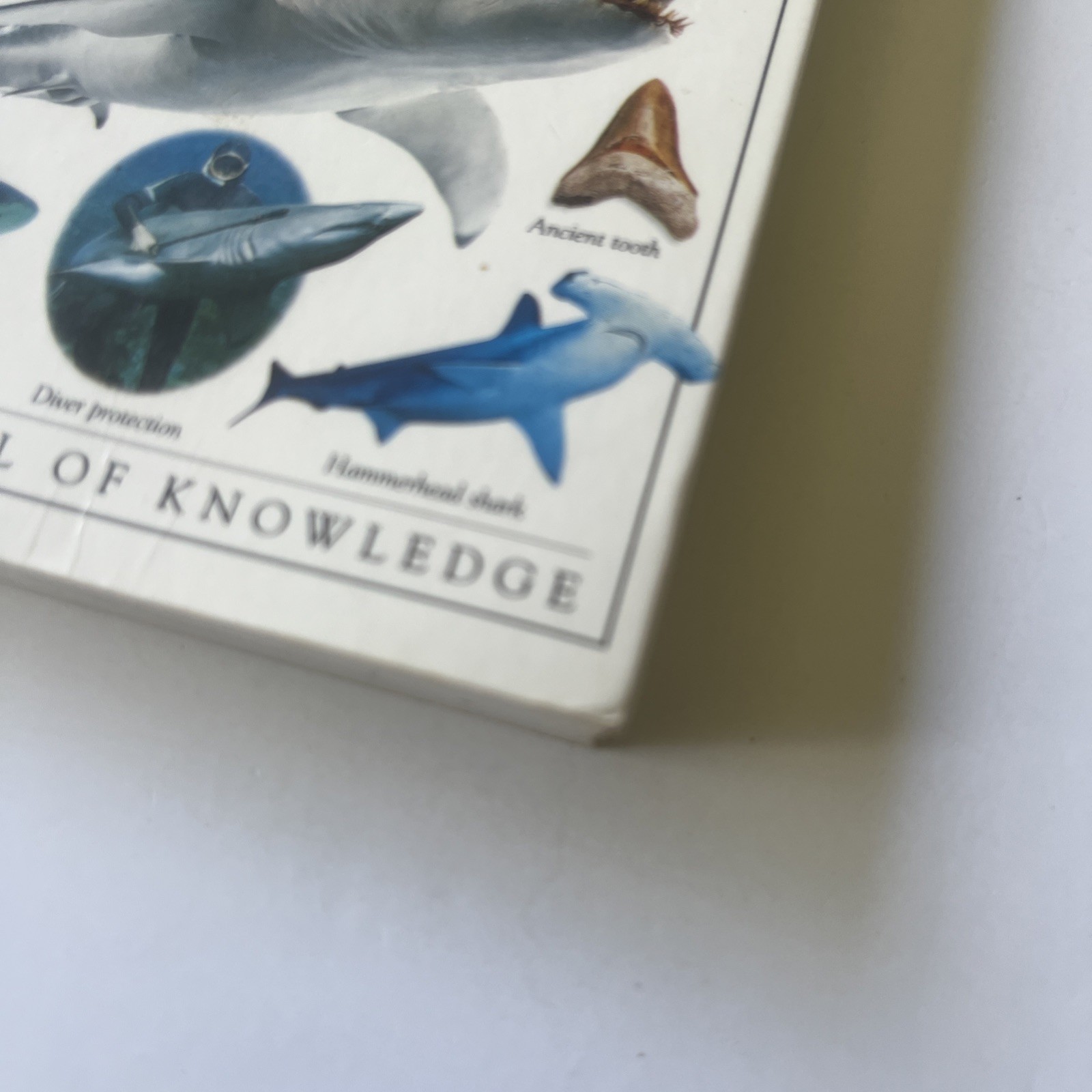 SHARKS DK Pockets Book📕Sharks by DK publishing Pockets Full Of Knowledge
