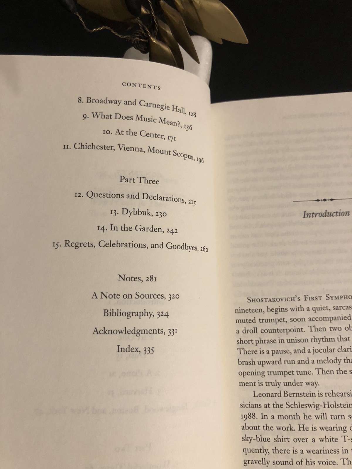 Leonard Bernstein An American Musician Allen Shawn Yale Uni 2014 F.Ed/F.Pr.ExLHC