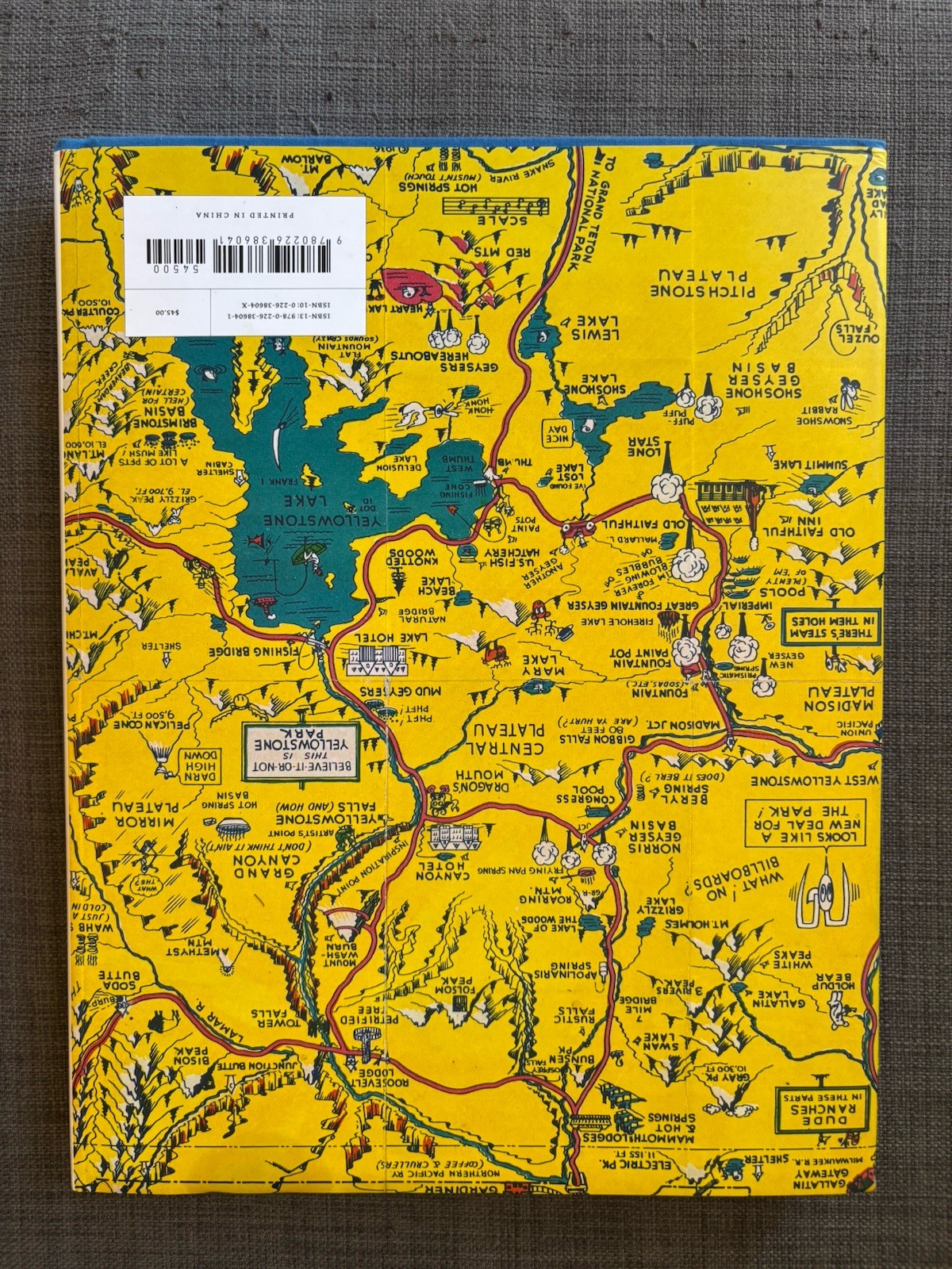 Picturing America: The Golden Age of Pictorial Maps Stephen J. Hornsby HC 2017