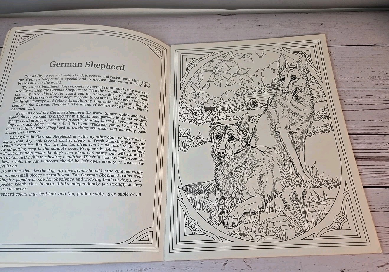 Rita WarnerDogs & Puppies Coloring Album Book Vintage Copyright 1977