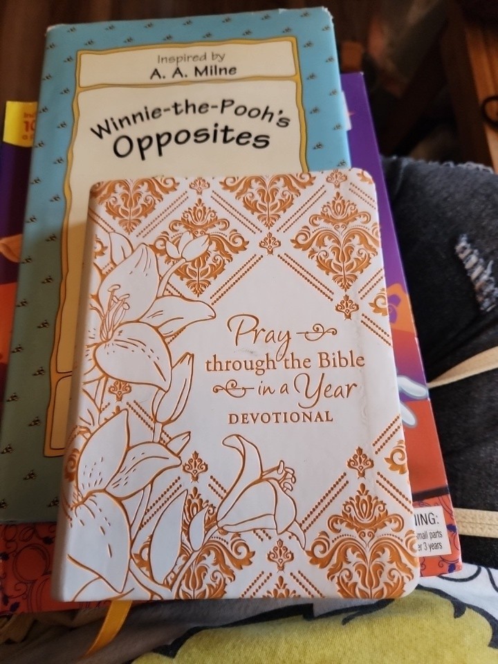 Pray through the Bible in a Year Devotional