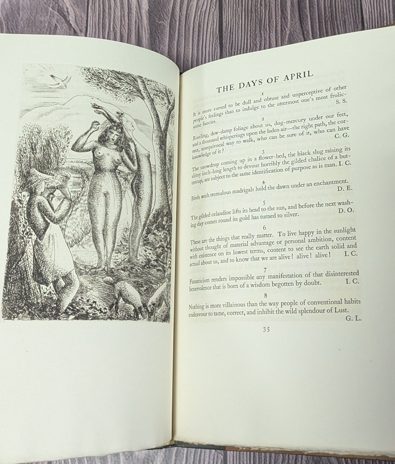 Golden Cockerel – Llewelyn Powys Book of Days – 1937 Zaehnsdorf Binding Ltd 300