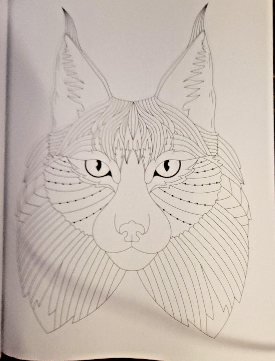 MAJESTIC CREATURES Vol 16 Adult Coloring Book With 47 Prints Ready To Frame