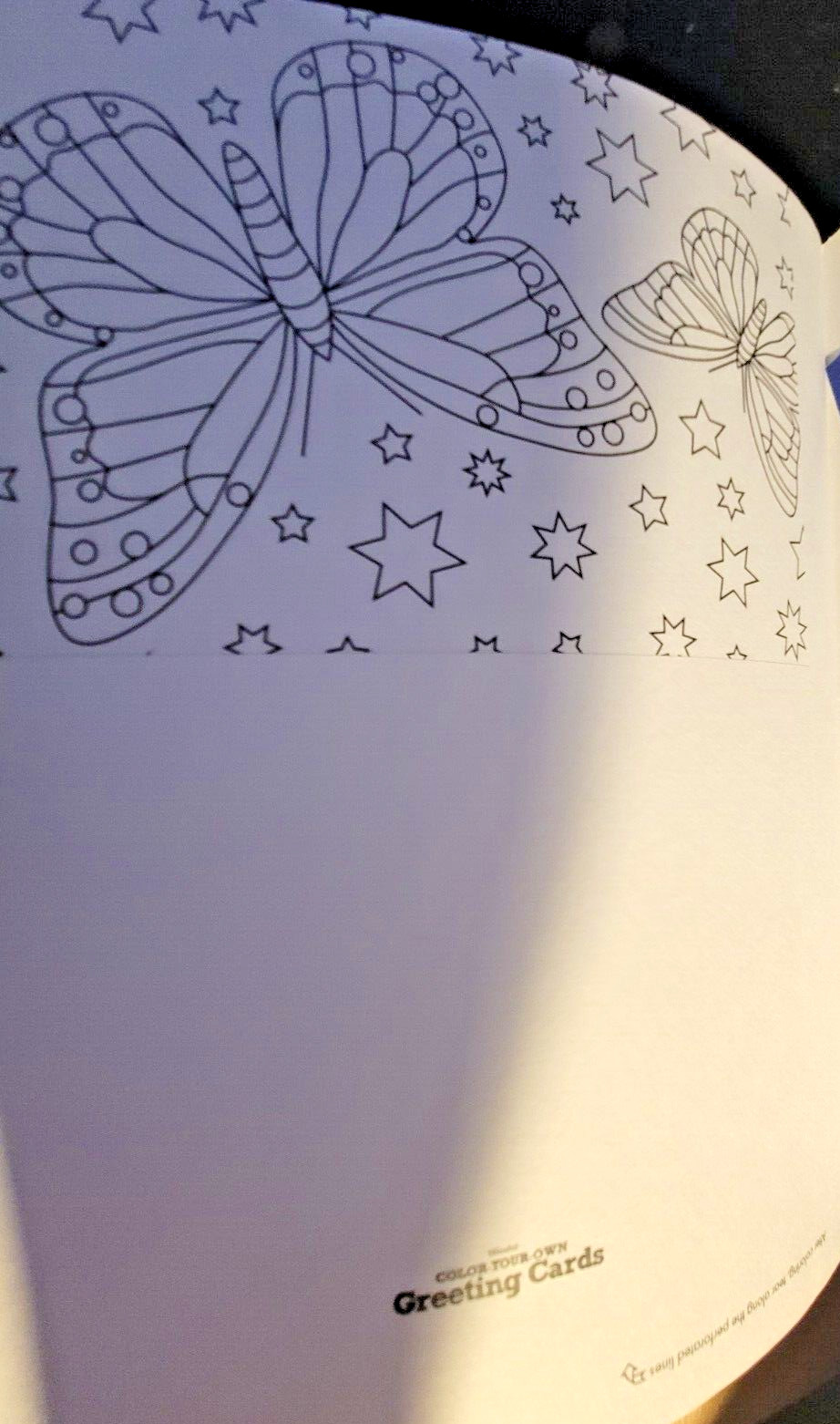 COLOR YOUR OWN GREETING CARDS Create 28 Fun & Festive Cards – Children & Adult