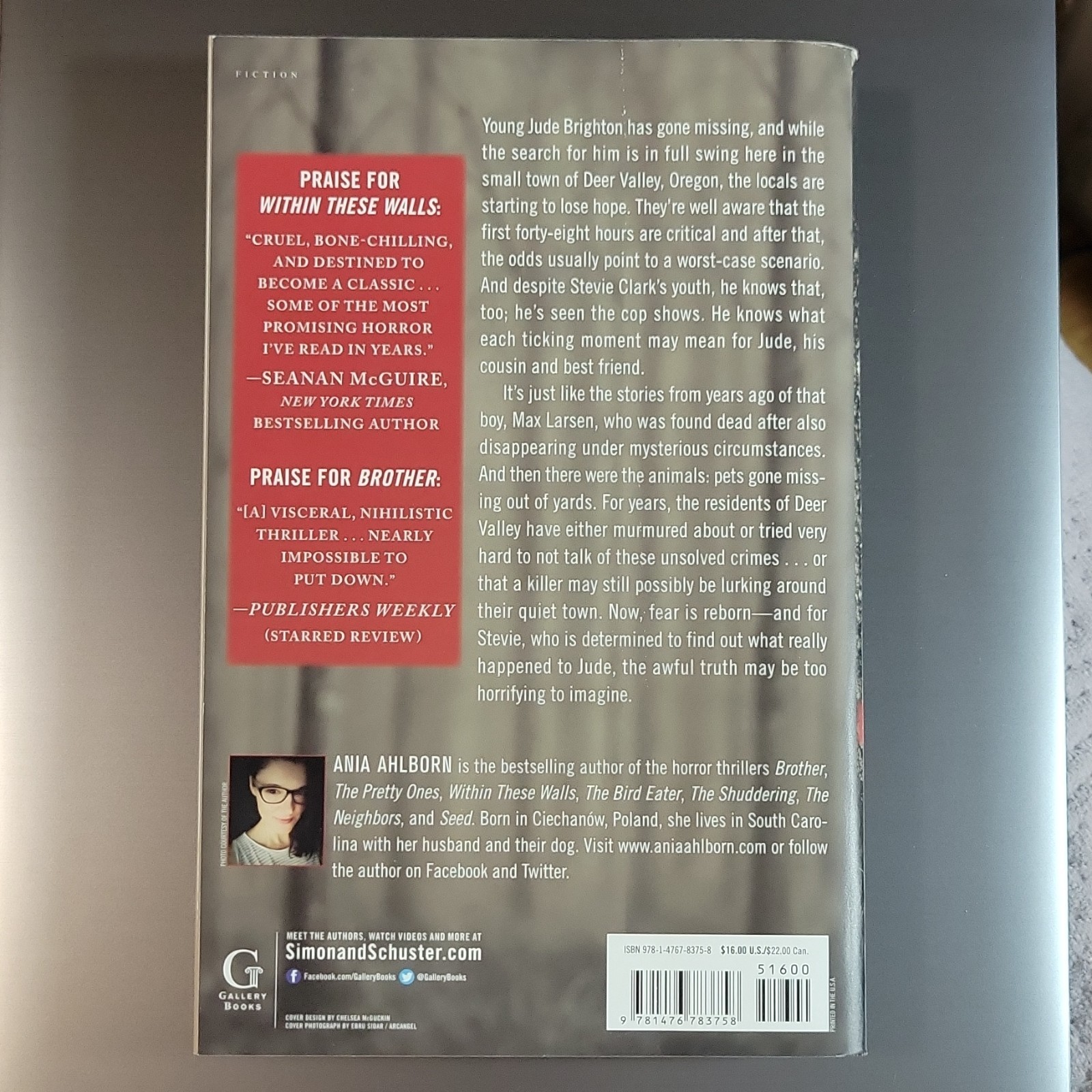 Gallery Books Devil Crept In Ania Ahlborn Trade Paperback 2017 Horror Fiction