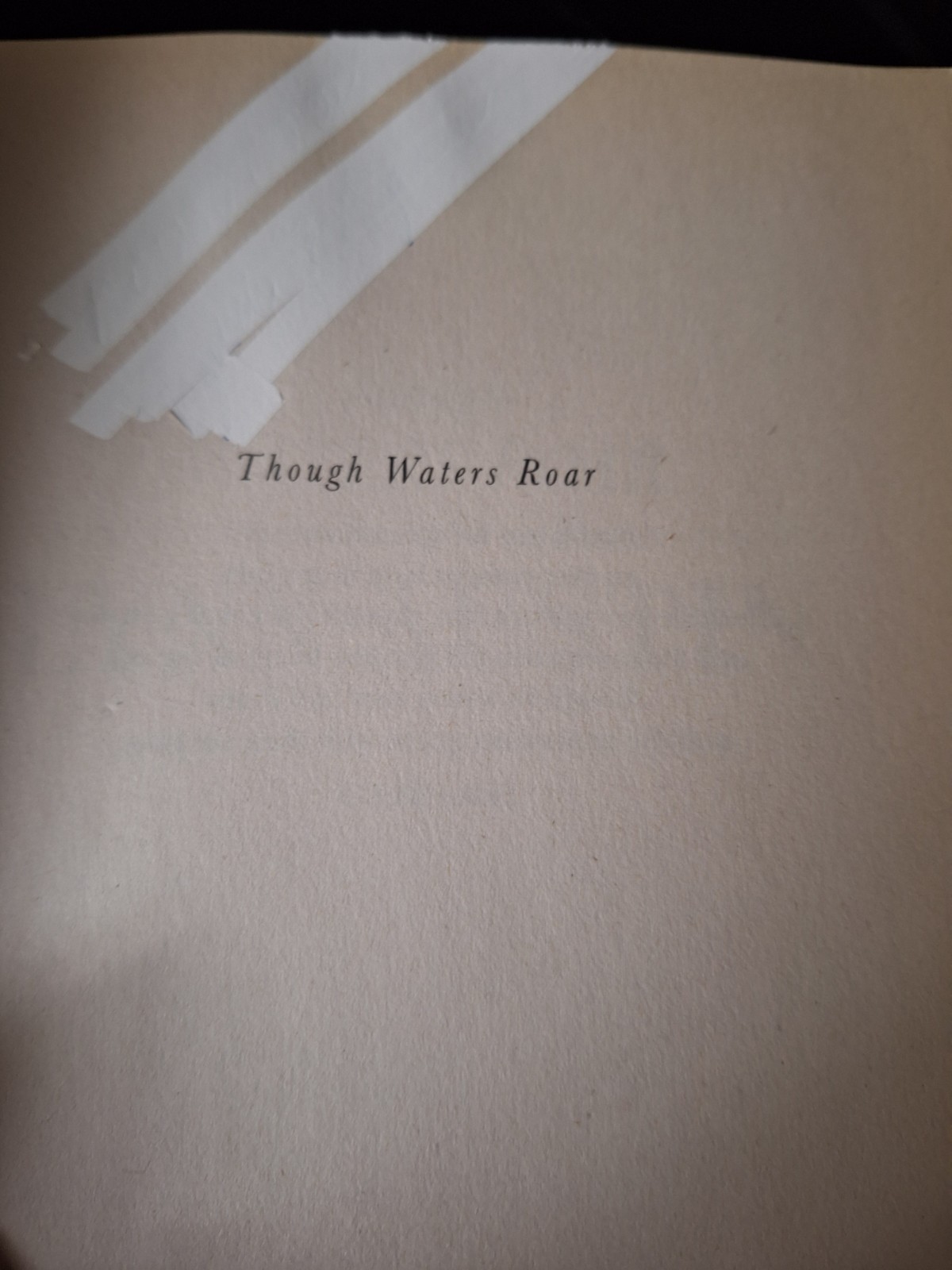 Though WATERS ROAR~Novel By LYNN AUSTIN~430 Pages~Nice Condition~Fiction~#3911